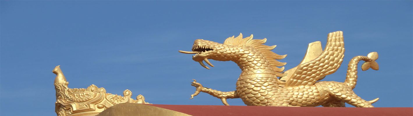 ahom dragon